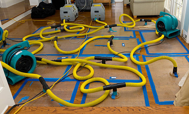 Professional Structural Drying And Dehumidification technician working in Caldwell, OH