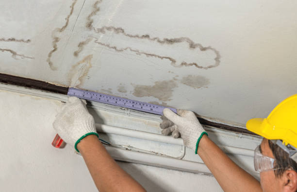 Affordable Water Damage Repair solutions in Caldwell, OH